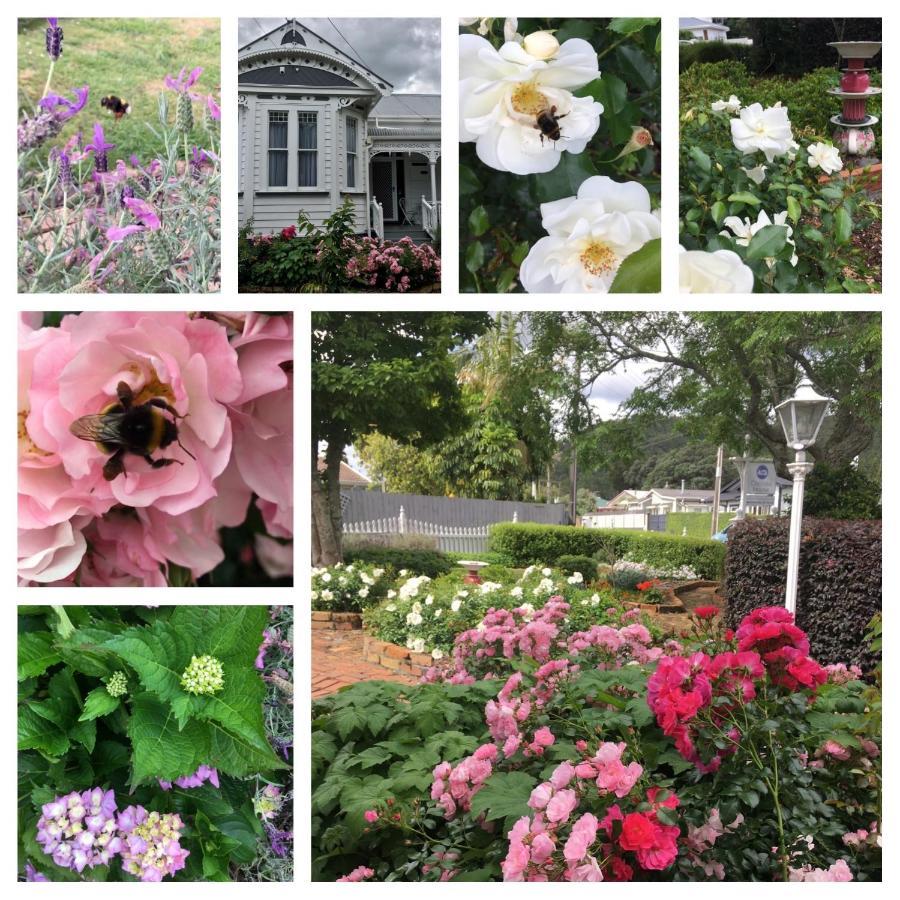 Chelsea House Bed & Breakfast Whangarei Exterior foto